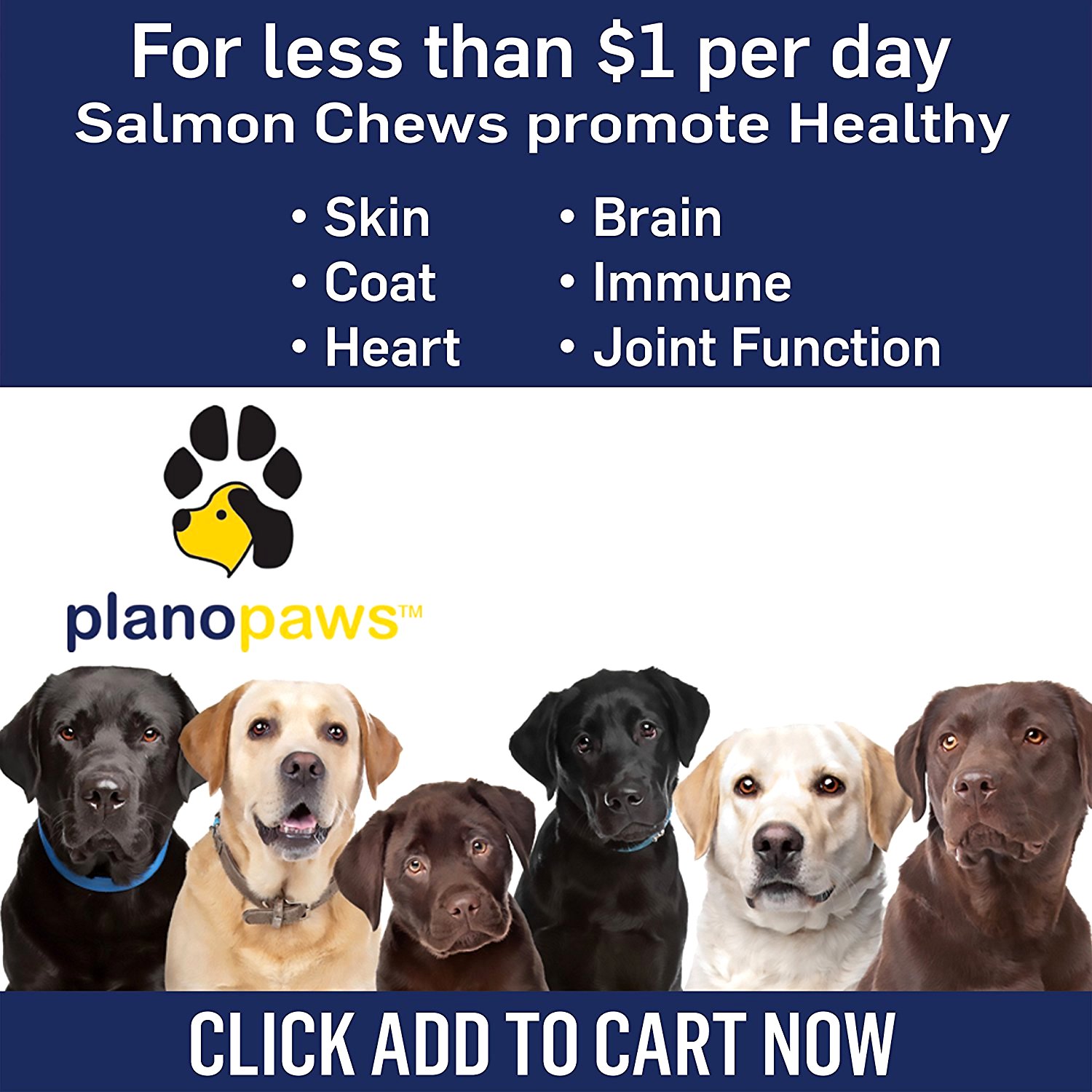 Dog Treats w/ Omega Fish Oil for Dogs Arthritis Hip Joint Pain Skin