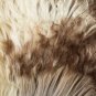 Aydin Sheepskin Pelt Handmade Natural Soft Wool Beige Brown 2'0"x3'0" #481