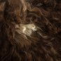 Aydin Sheepskin Pelt Handmade Natural Soft Wool ,Brown Cream 2'0"x3'0" #751