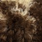 Aydin Sheepskin Pelt Handmade Natural Soft Wool ,Brown Cream 2'0"x3'0" #751