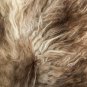 Aydin Sheepskin Rug Dark Brown Beige Wool 2'5"x3'3" #737