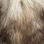 Aydin Sheepskin Pelt Ethically Sourced Handmade Cream Dark Brown 2'3"x3'2" #605