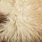 Aydin Sheepskin Rug Cream Brown Wool 2'2"x3'5" #505