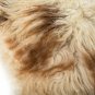 Aydin Sheepskin Rug Cream Brown Wool 2'2"x3'5" #505