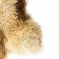 Aydin Sheepskin Rug Soft Natural Wool ,Beige Cream 2'2"x3'0" #678