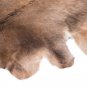 Aydin European Natural Cowhide Rug Hair-On-Hide Genuine Bovine Leather 5'7"x6'3"