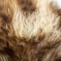 Aydin Sheepskin Rug Soft Natural Wool Brown Cream 2'2"x2'10" #756
