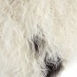 Aydin Sheepskin Rug White With Dark Spots Wool 1'9"x3'4" #413