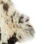 Aydin Sheepskin Pelt Handmade Soft Wool , Dark Brown Cream 2'1"x2'10" #626
