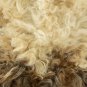 Aydin Sheepskin Pelt Ethically Sourced Handmade, Cream Brown 2'0"x3'0" #685