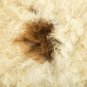 Aydin Sheepskin Rug Soft Natural Wool Beige Brown 1'10"x3'2" #691