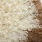 Aydin Sheepskin Rug Beige Brown Wool 2'0"x3'0" #622