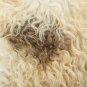 Aydin Sheepskin Rug Cream Brown Wool 2'0"x3'0" #643