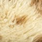 Aydin Sheepskin Rug Beige Brown Wool 1'9"x3'2" #748