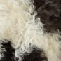 Aydin Sheepskin Rug Dark Brown White Wool 2'2"x3'0" #659
