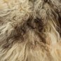 Aydin Sheepskin Pelt Ethically Sourced Handmade Dark Brown Beige 2'2"x3'6" #503