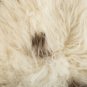 Aydin Sheepskin Pelt Ethically Sourced Handmade Brown White 2'5"x3'1" #726