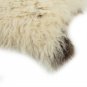 Aydin Sheepskin Rug Cream Brown Wool 2'2"x3'2" #561