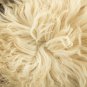 Aydin Sheepskin Pelt Handmade Soft Wool , Cream 2'2"x3'1" #716