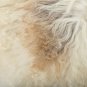 Aydin Sheepskin Rug Cream Brown Wool 2'3"x3'6" #512