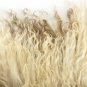 Aydin Sheepskin Rug Beige Brown Wool 1'9"x3'2" #718