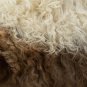 Aydin Sheepskin Pelt Handmade Natural Soft Wool Beige Brown 2'1"x3'5" #599