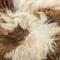 Aydin Sheepskin Pelt Handmade Natural Soft Wool Cream Brown 2'3"x3'1" #725