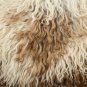 Aydin Sheepskin Rug Soft Natural Wool Beige Brown, 2'2"x3'6" #494