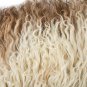 Aydin Sheepskin Rug Soft Natural Wool Beige Brown, 2'2"x3'6" #494