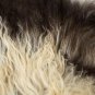 Aydin Sheepskin Rug Beige Dark Brown Wool 2'1"x3'0" #583