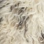 Aydin Sheepskin Pelt Handmade Natural Soft Wool , Cream Black 2'3"x3'2" #460
