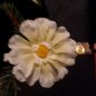 Silk flower boutinere