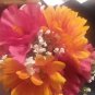 Silk Flower Bridesmaid Bouquet