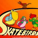 The Skatebirds 70s TV Series [DVD] (MOD) SHIPS FAST!