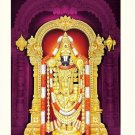Tirupati Balaji Sparkle Print Wall Sticker Poster Without Frame (20 X 28 Inches)