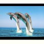 Beautiful Dolfins Sparkle Print Wall Sticker Poster Without Frame (20 X 28 Inches)