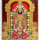 Golden Zari Art Work Photo Of Tirupati Balaji-Laxmiji Unframed Rolled Wall Poster (25 X 36 Inches)