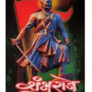 Shambhu Raje Sparkle Print Sticker Poster Without Frame (20 X 28 Inches)
