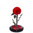 Preserved Fresh Flower,Enchanted Rose,Natural Eternal Life Rose in Glass Domewith Gift Box