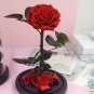 Preserved Fresh Flower,Enchanted Rose,Natural Eternal Life Rose in Glass Domewith Gift Box