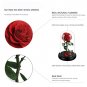 Preserved Fresh Flower,Enchanted Rose,Natural Eternal Life Rose in Glass Domewith Gift Box