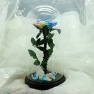 Preserved Fresh Flower,Enchanted Rose,Natural Eternal Life Rose in Glass Domewith Gift Box