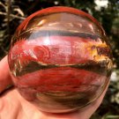 924g Natural COLORFUL RAINBOW FANTASTIC Madagascar Petrified Wood ball  - #MH7