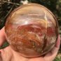 924g Natural COLORFUL RAINBOW FANTASTIC Madagascar Petrified Wood ball - #MH7