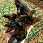 TOP!!Natural smoky black quartz cluster crystal specimen healing yellow Quartz