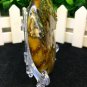 Natural Ammonite Nautilus Shell Jurrassic Fossil Specimen Madagascar 161g HLS7