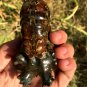 269g Natural Douvilleiceras Polished "Goat Horn" Fossil Ammonite crystal #DZ32
