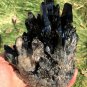 886g Natural beautiful smoky black quartz cluster crystal specimen healing JQ53
