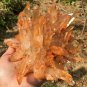 1103g Natural Himalayas white quartz cluster crystal specimen healing #JC29