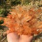 1103g Natural Himalayas white quartz cluster crystal specimen healing #JC29